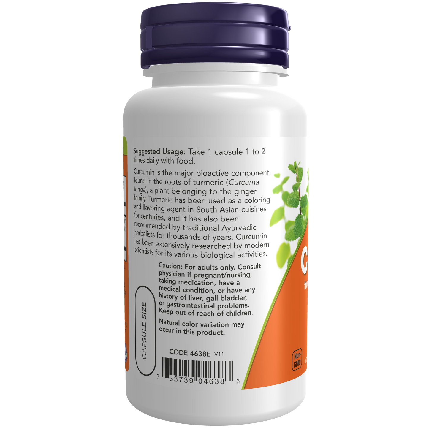 Curcumina Extract 95% 665MG (60 Veg Caps) / Curcumin