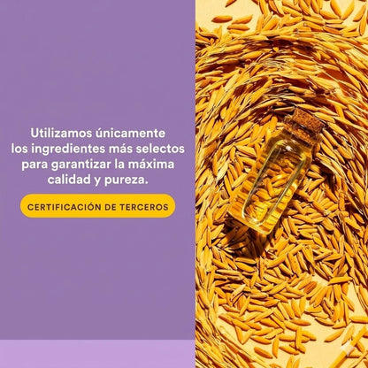 Coenzima Q10 200 mg En una Base de Aceite de Salvado de Arroz  30 sg, Natural Factors