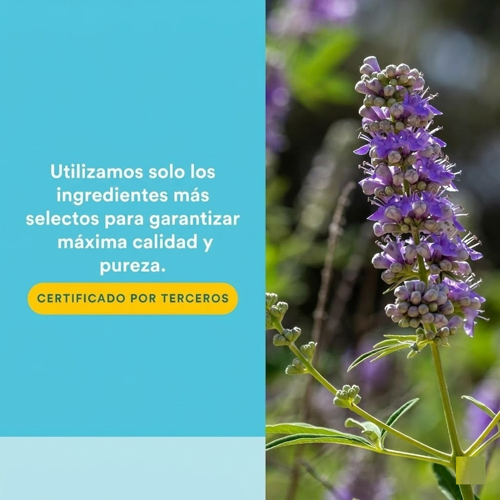 WomenSense® Extracto de Sauzgatillo Vitex 80 mg 90 vcap, Natural Factors