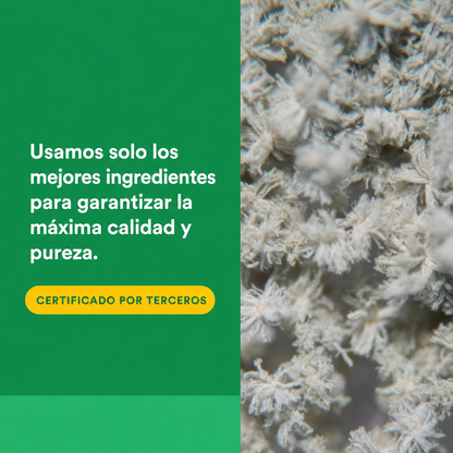 Multi Enzimas Vegetarianas de Alta Potencia 60 vcap, Natural Factors