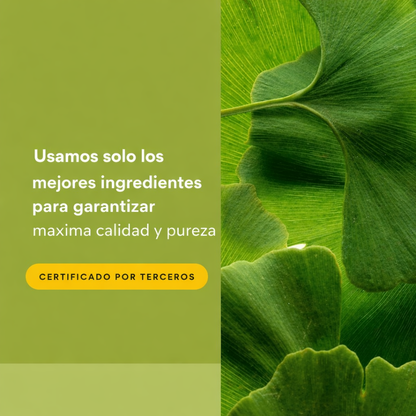 HerbalFactors® Ginkgo Biloba 60 mg 60 cap, Natural Factors