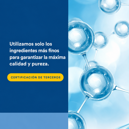 L-Carnitina 500 mg 60 vcap, Natural Factors