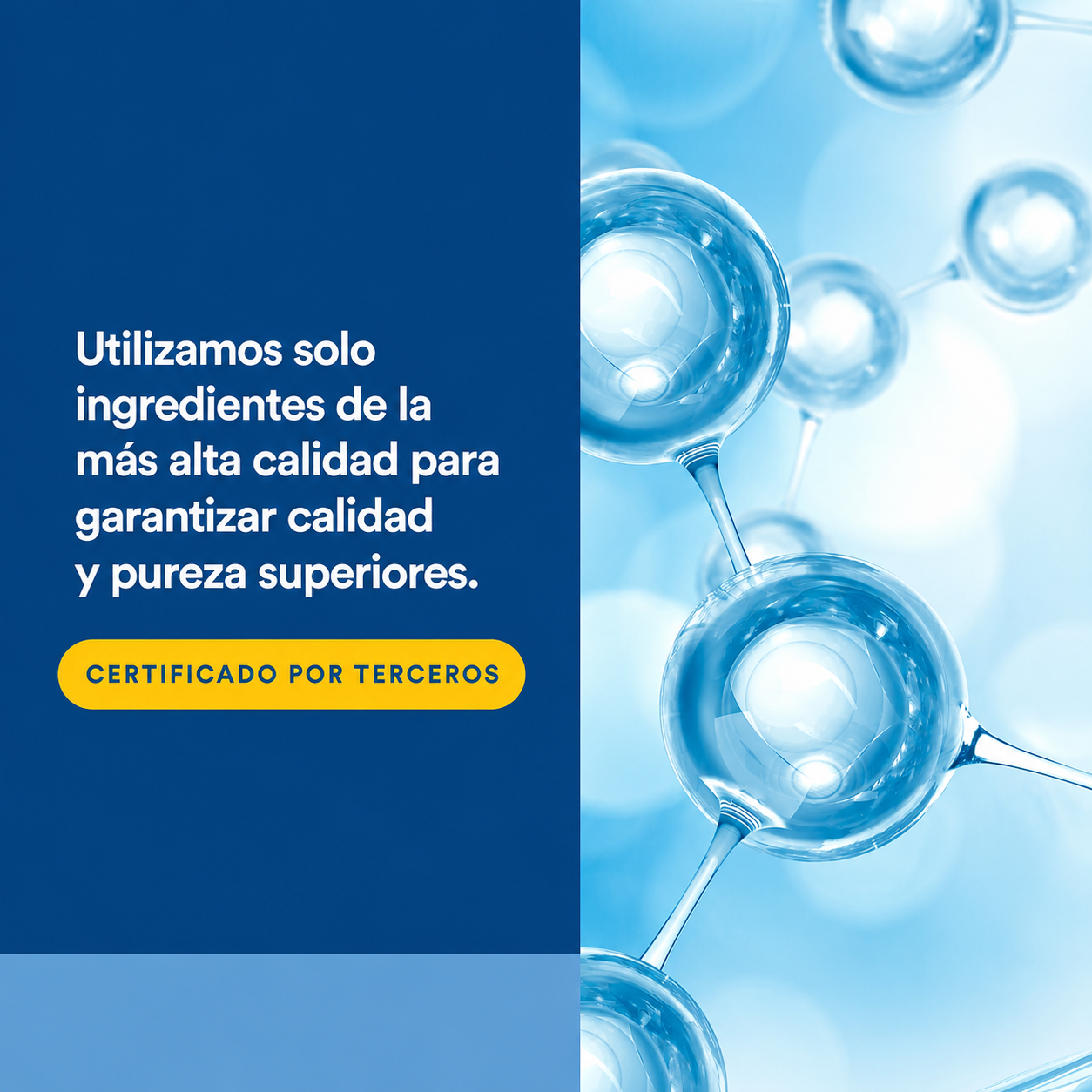 L-Carnosina 500 mg 60 vcap, Natural Factors