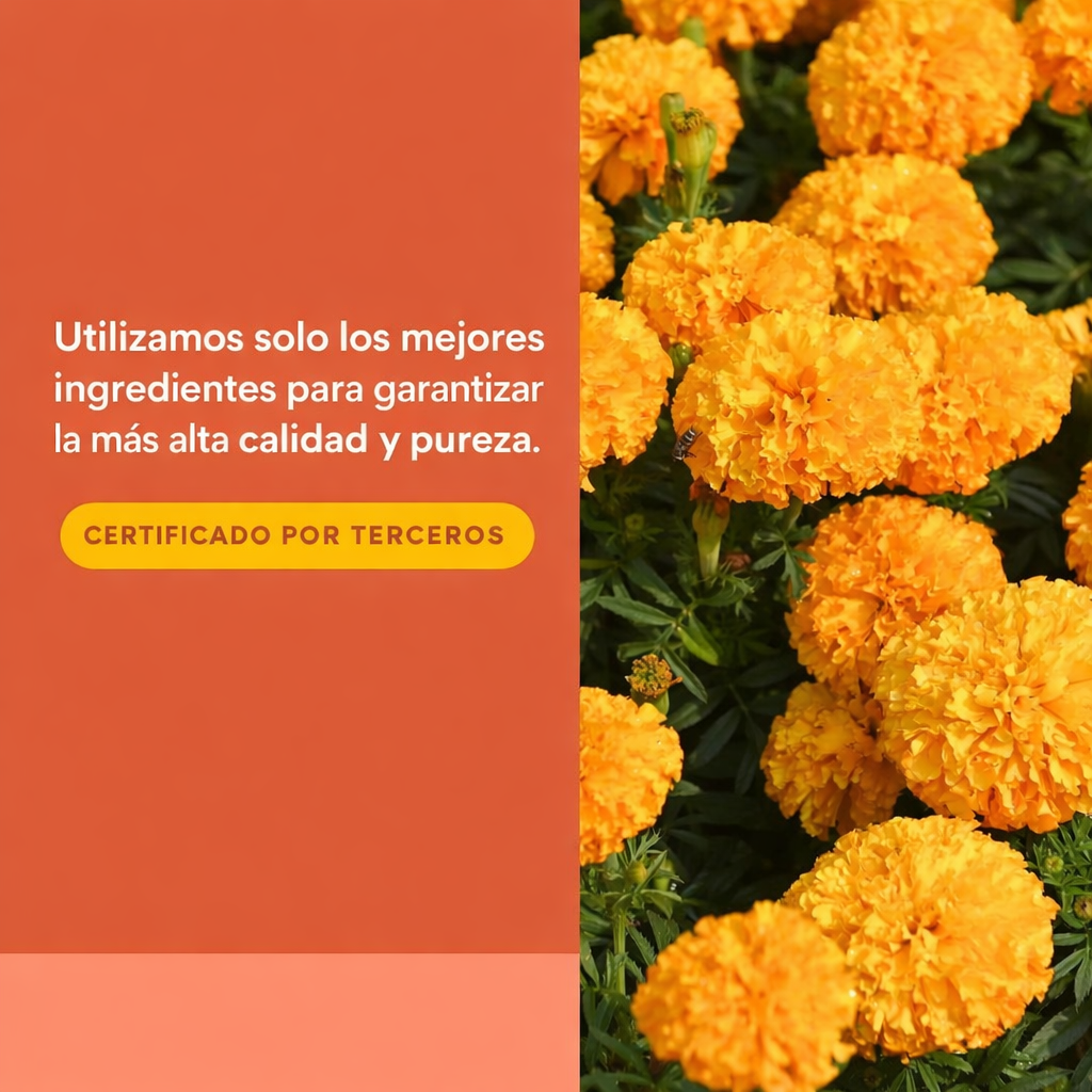 Luteina 20 mg 30 sg, Natural Factors