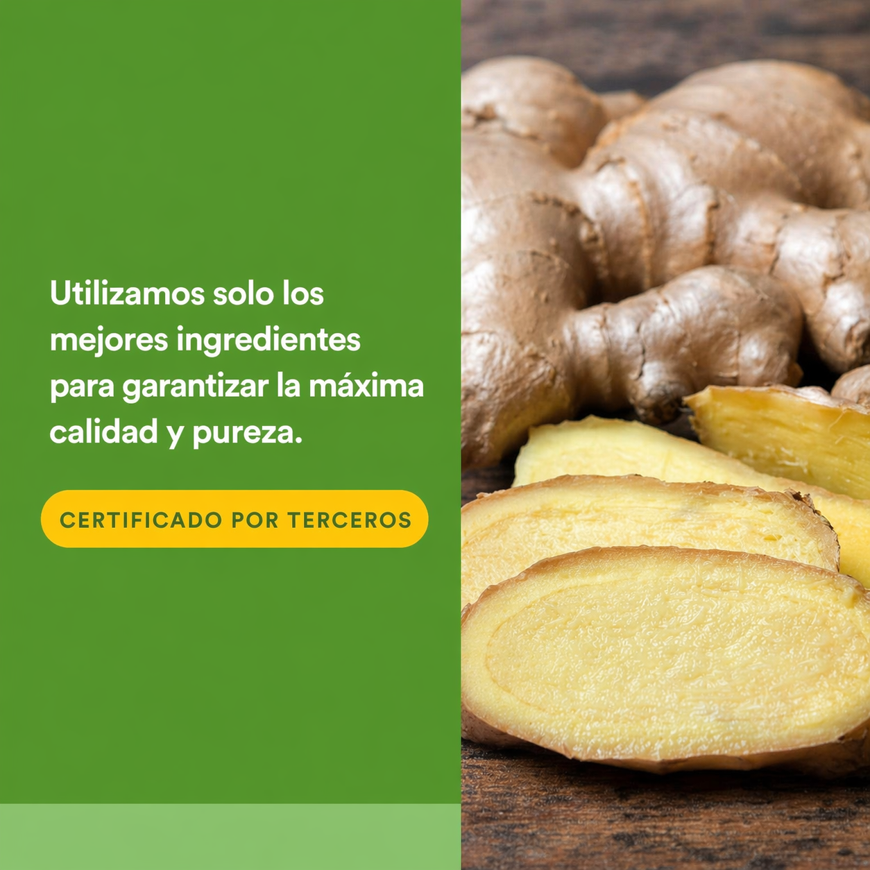 Jengibre Masticable 500 mg 90 tab, Natural Factors