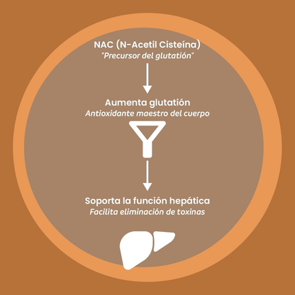 Detox Support (60 caps),NutriADN
