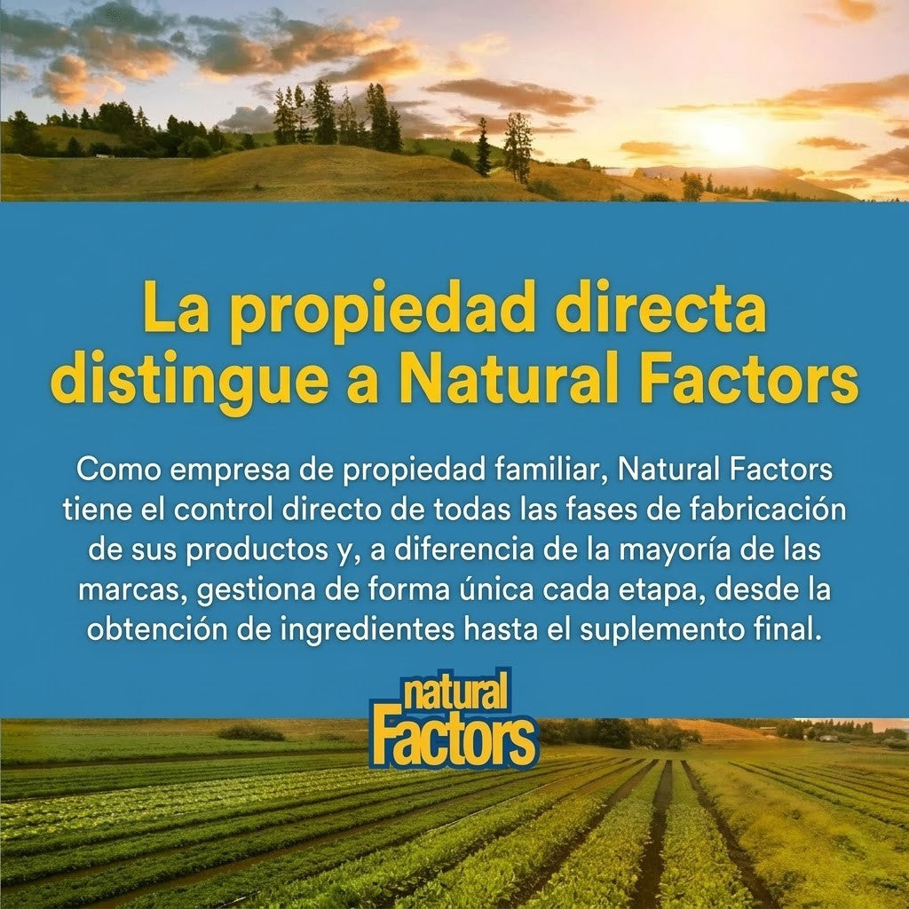 N-Acetil-L-Cisteína 600 mg 60 vcap, Natural Factors