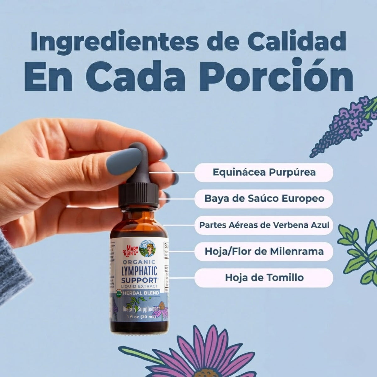 Mezcla de hierbas de apoyo linfático orgánico (30ml) / Lymphatic Cleanse Drops, (1oz)