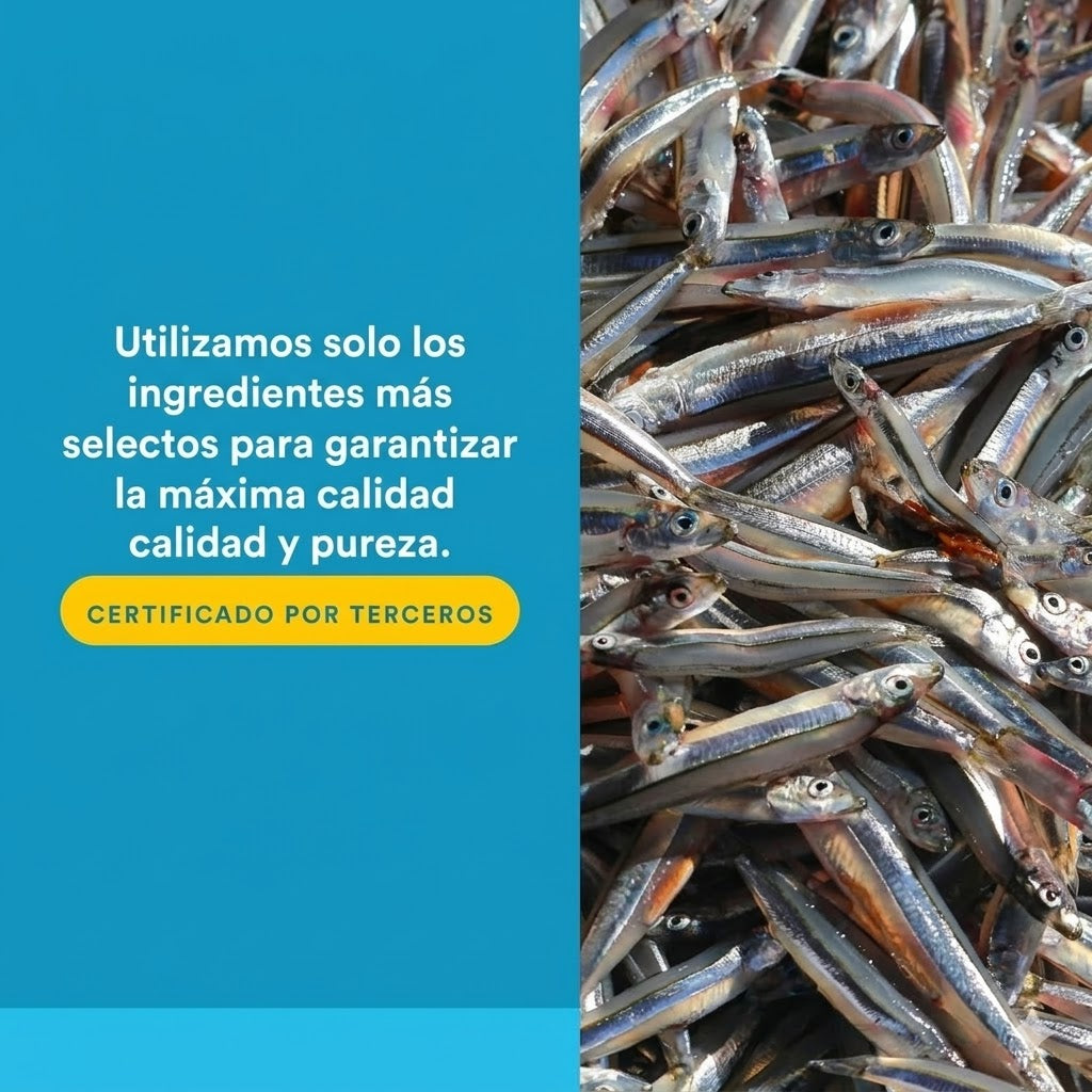 RxOmega-3 Ultra Resistencia 2,150 mg EPA/DHA/DPA Enteripure® 60 sg, Natural Factors