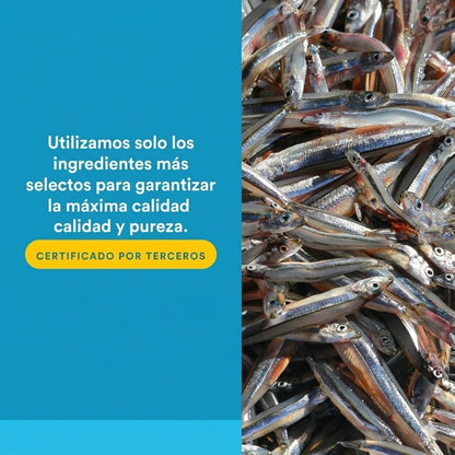 RxOmega-3 Ultra Resistencia 2,150 mg EPA/DHA/DPA Enteripure® 60 sg, Natural Factors