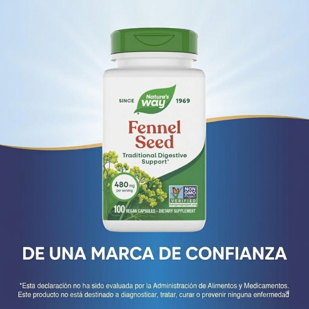 Hinojo - Semilla - 480mg - 100 Cápsulas Veganas