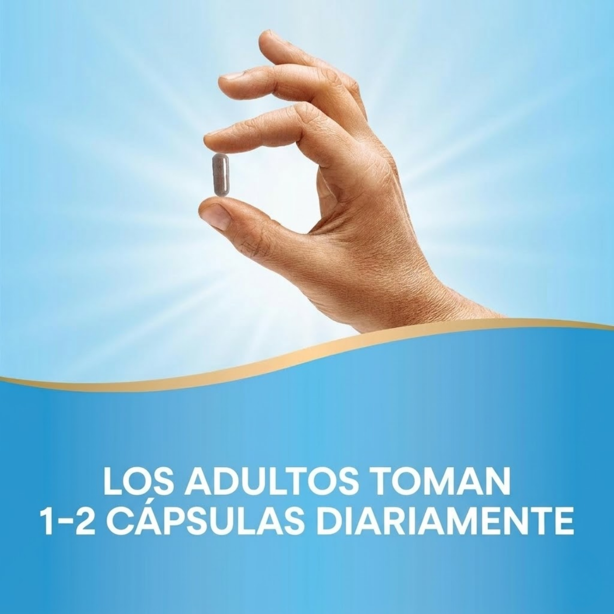 Ashwagandha - Extracto Premium - 500mg - 60 Cápsulas Veganas