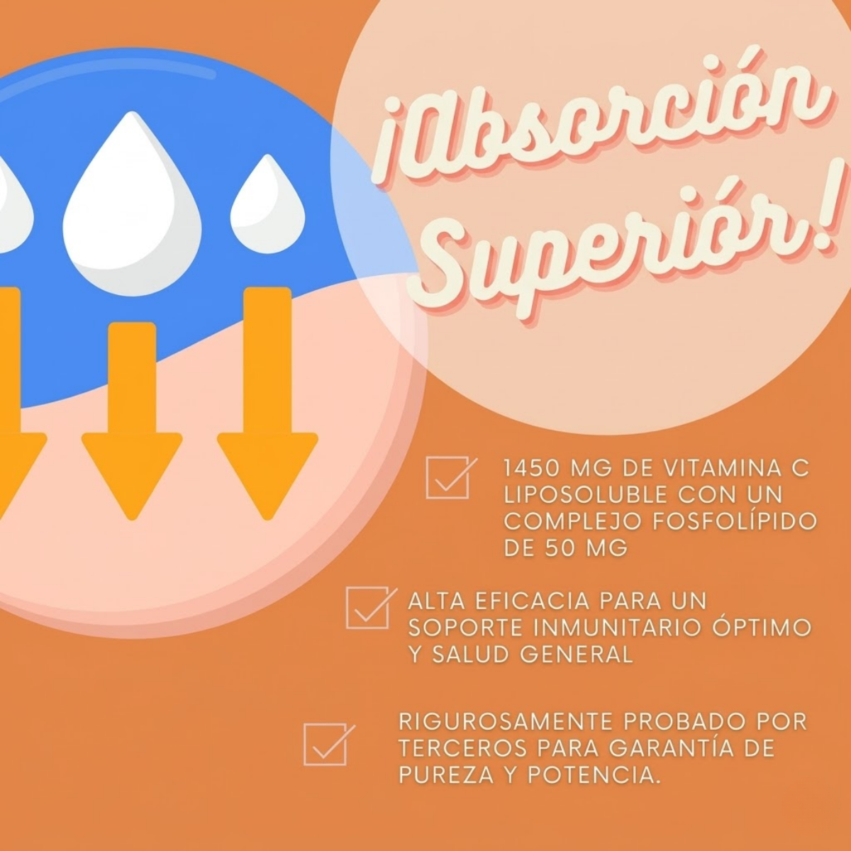 Vitamina C liposomal (60 caps)/ Liposomal Vitamin C