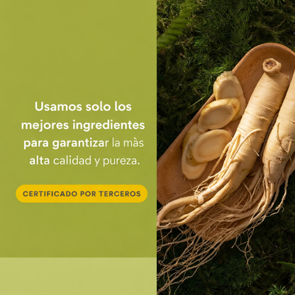 HerbalFactors® Panax Ginseng 60 sg, Natural Factors