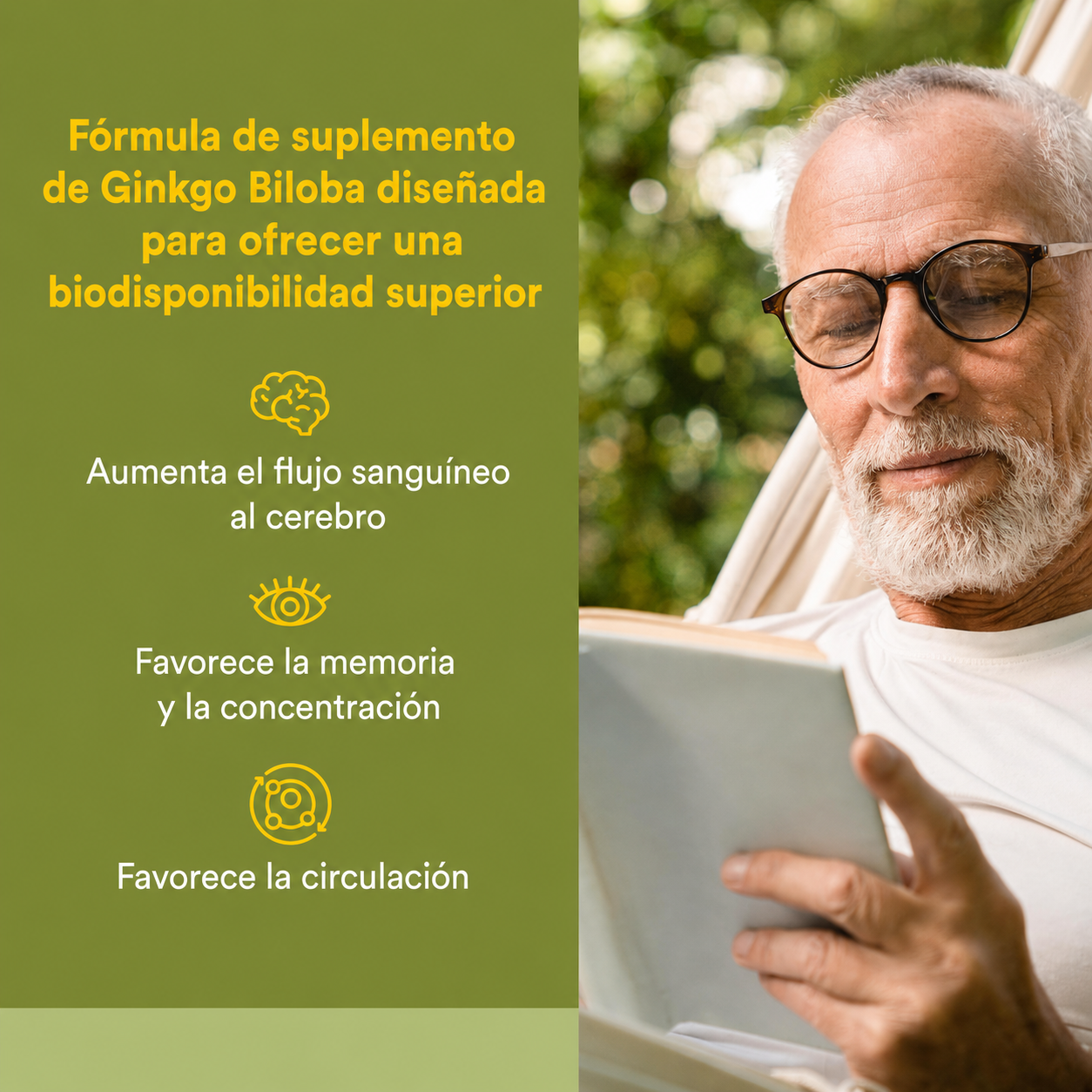 HerbalFactors® Ginkgo Biloba Fitosoma 60 mg 60 cap, Natural Factors
