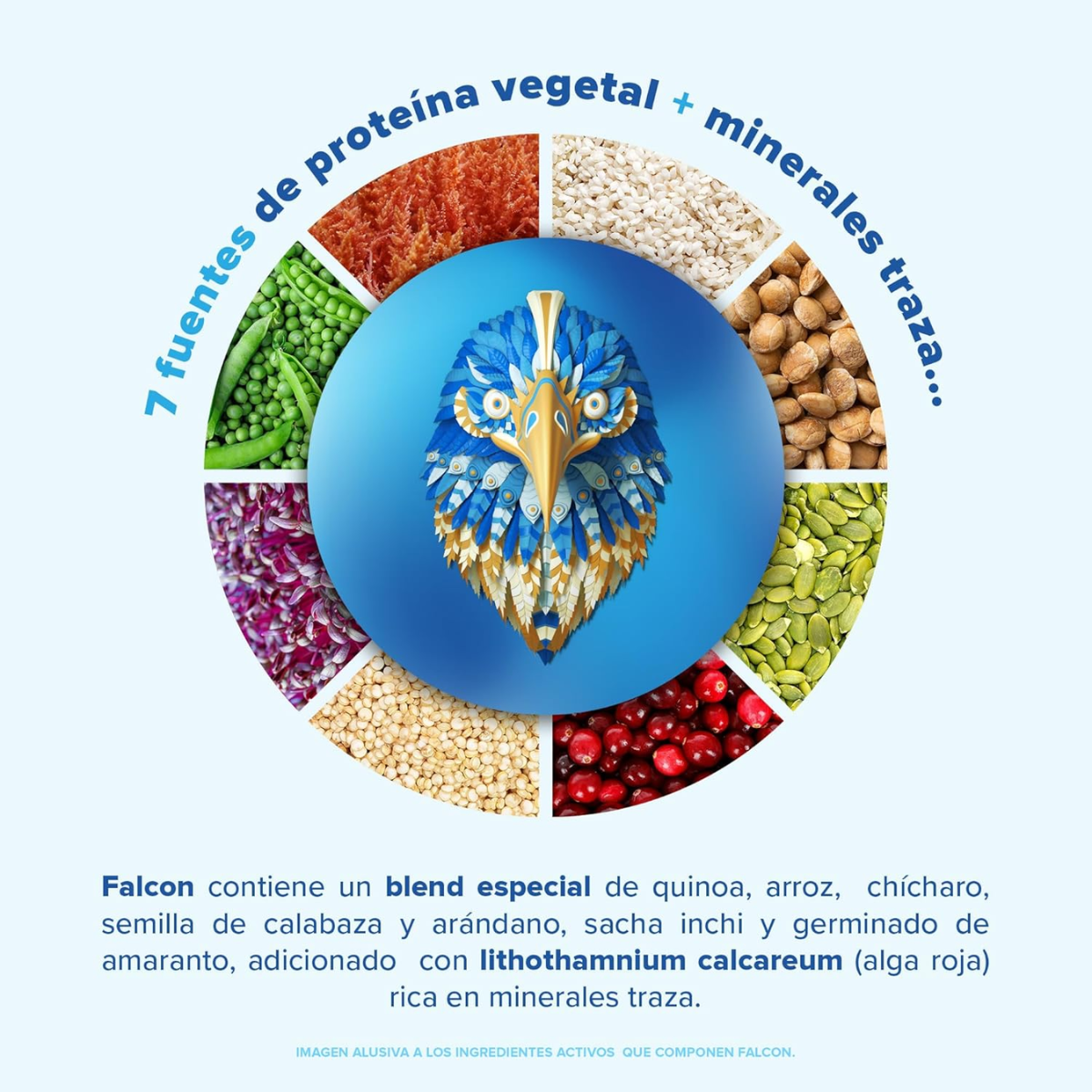 Falcon Protein Chocolate (1.17 kg), Birdman