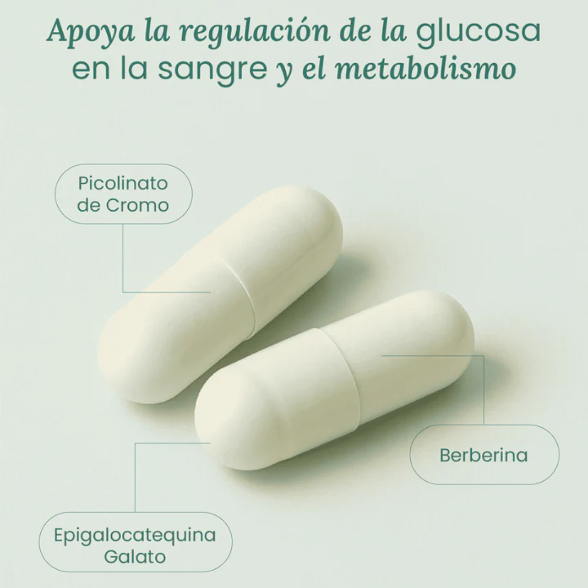 Metabolic Support (90 caps), NutriADN
