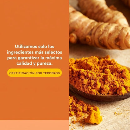 CurcuminRich® Theracurmin® 30 vcap, Natural Factors