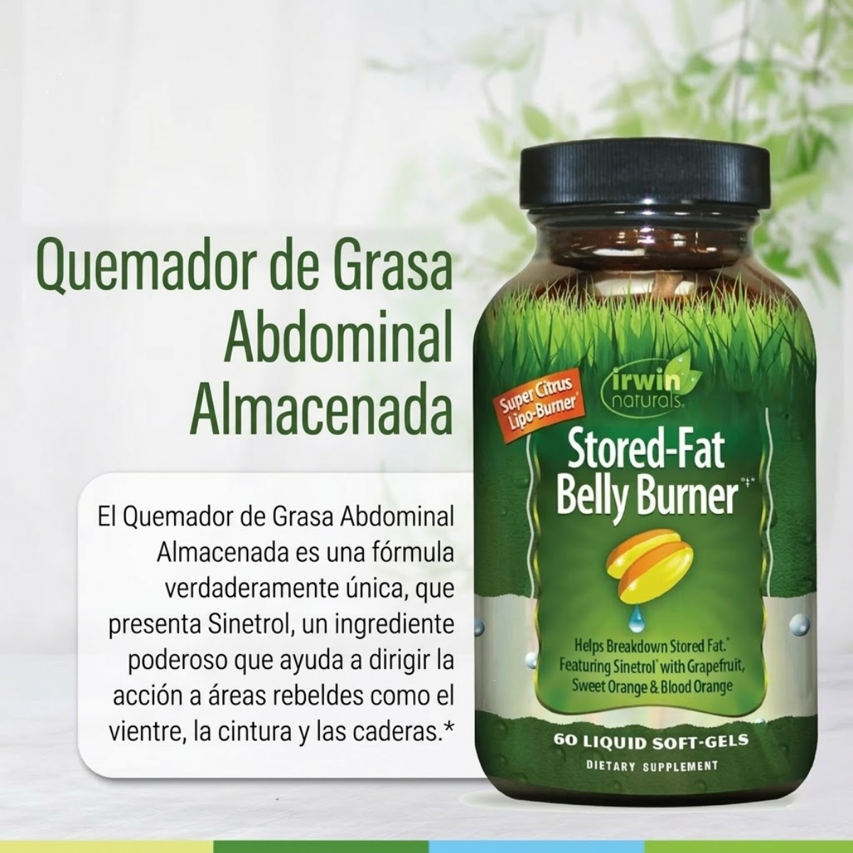 Quemador de Grasa Abdominal Almacenada (60 softgels),Irwin Naturals