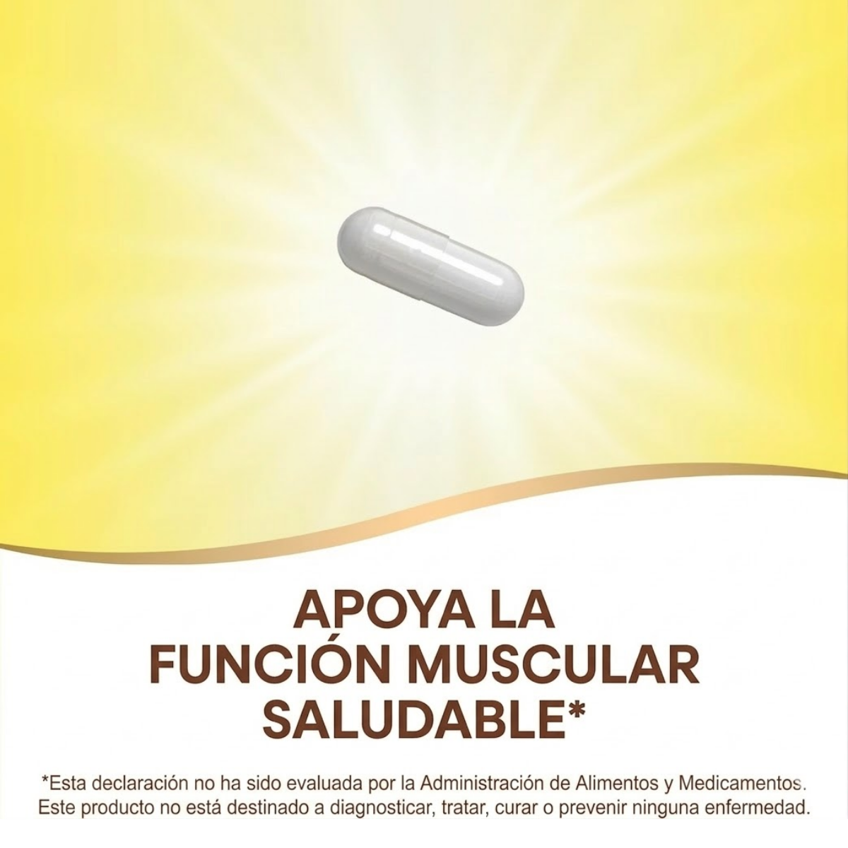 Complejo de Magnesio - 500mg - 100 Cápsulas