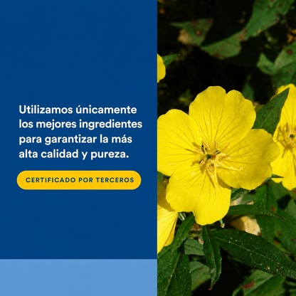 OmegaFactors® Ultra Prim™ EPO 500 mg / 50 mg GLA 180 sg, Natural Factors