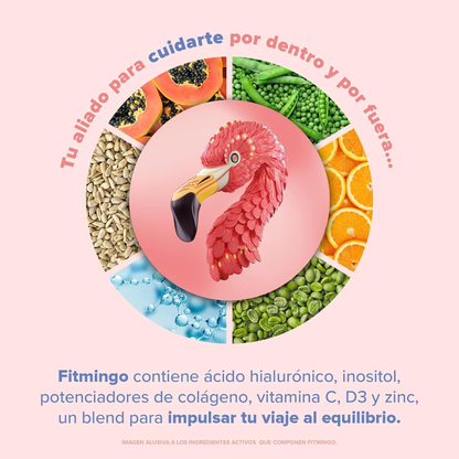 EX Fitmingo Proteina Vainilla (510 g), Birdman