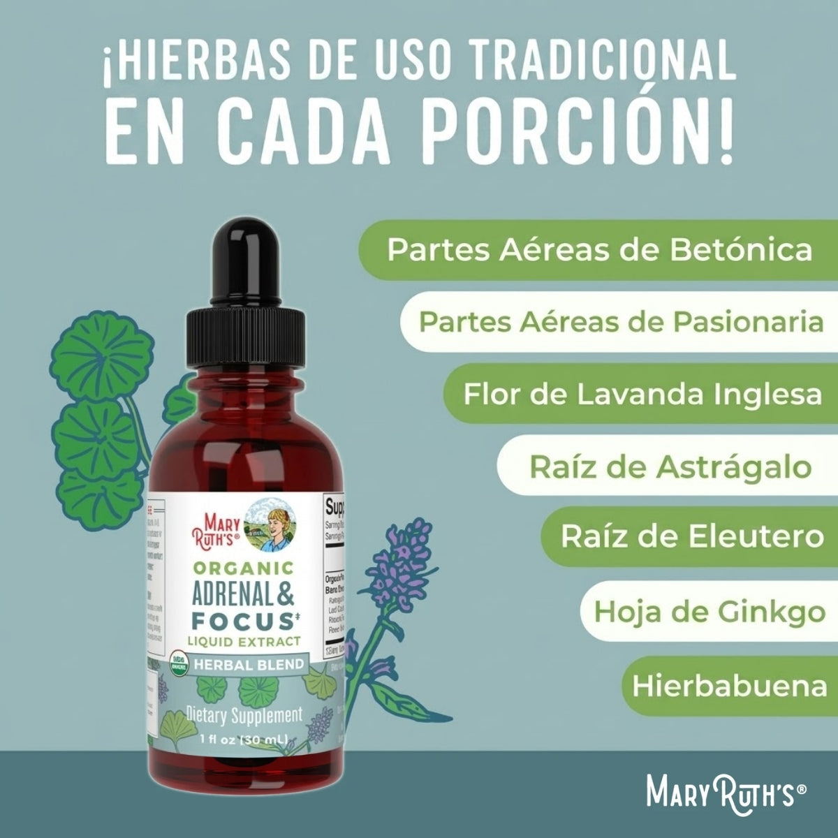 Mezcla de hierbas orgánicas suprarrenales y de enfoque 1oz (30ml) /Adult Adrenal & Focus Drops, Org, 1 oz