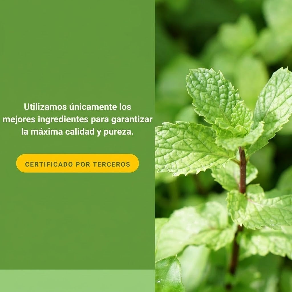 Menta + Oregano Aceite Entérico 60 sg, Natural Factors