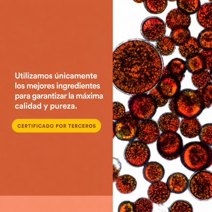 Astaxanthin Plus 4 mg 60 sg, Natural Factors