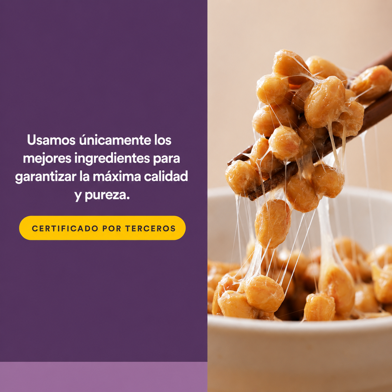 Nattoquinasa 100 mg 60 vcap, Natural Factors