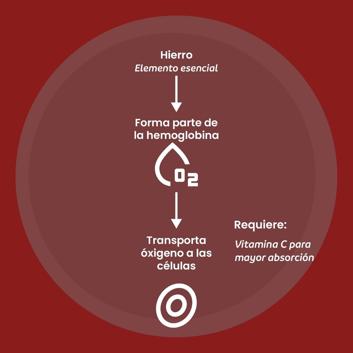 Iron Support (60 caps), NutriADN