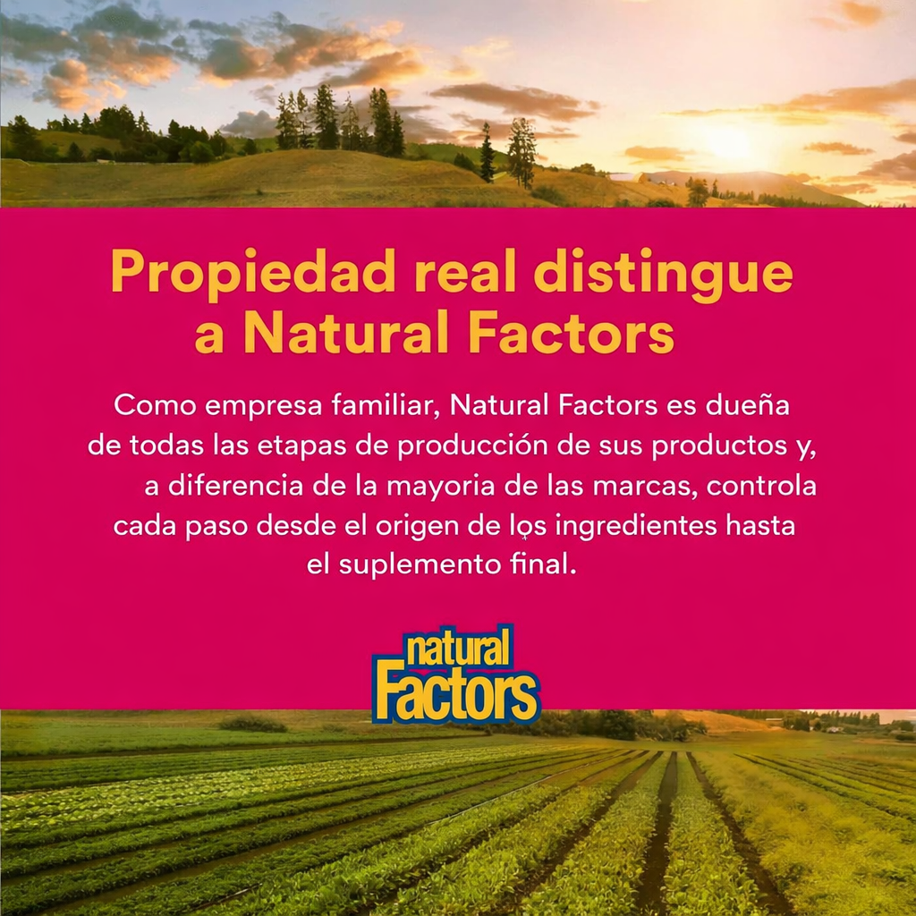 Vitamina C 1,000 mg Lanzamiento Cronometrado 90 tab, Natural Factors