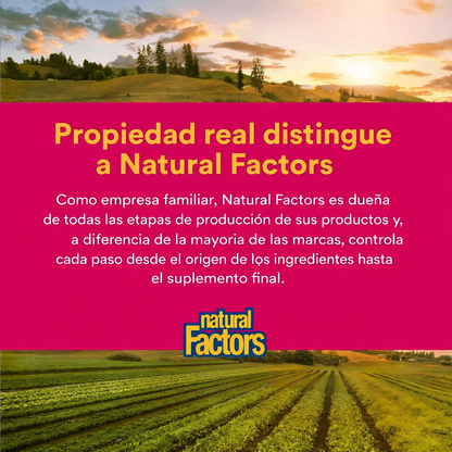 Vitamina C 1,000 mg Lanzamiento Cronometrado 90 tab, Natural Factors
