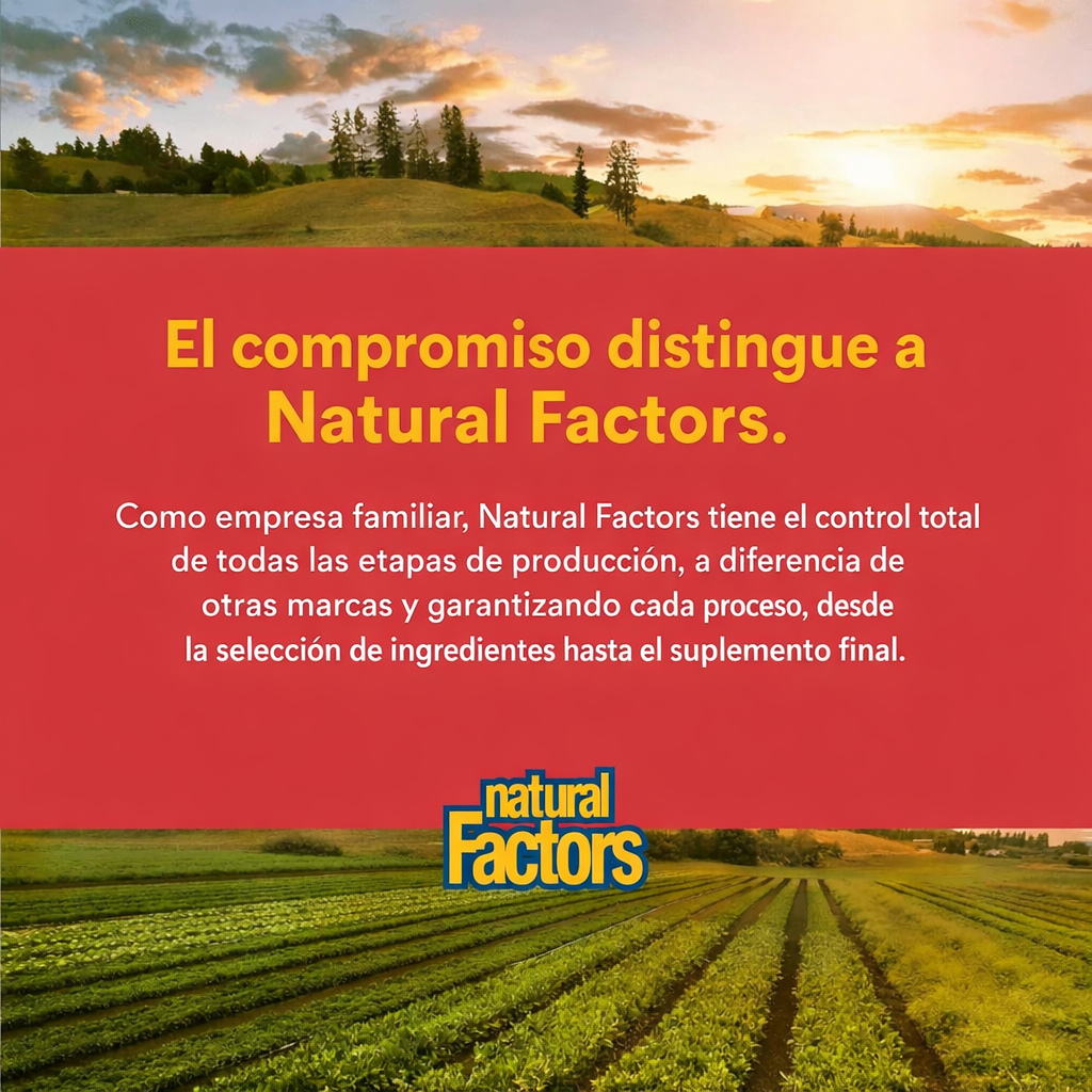 MacaRich® Concentrado de Maca Súper Fuerte 500 mg Organic 90 vcap, Natural Factors