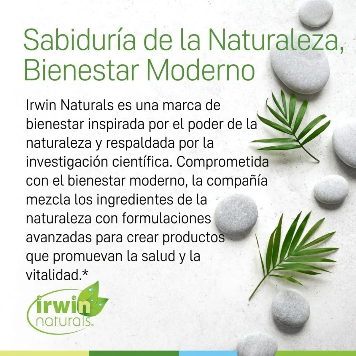Mega Complejo B de Absorción Avanzada (60 softgels), Irwin Naturals