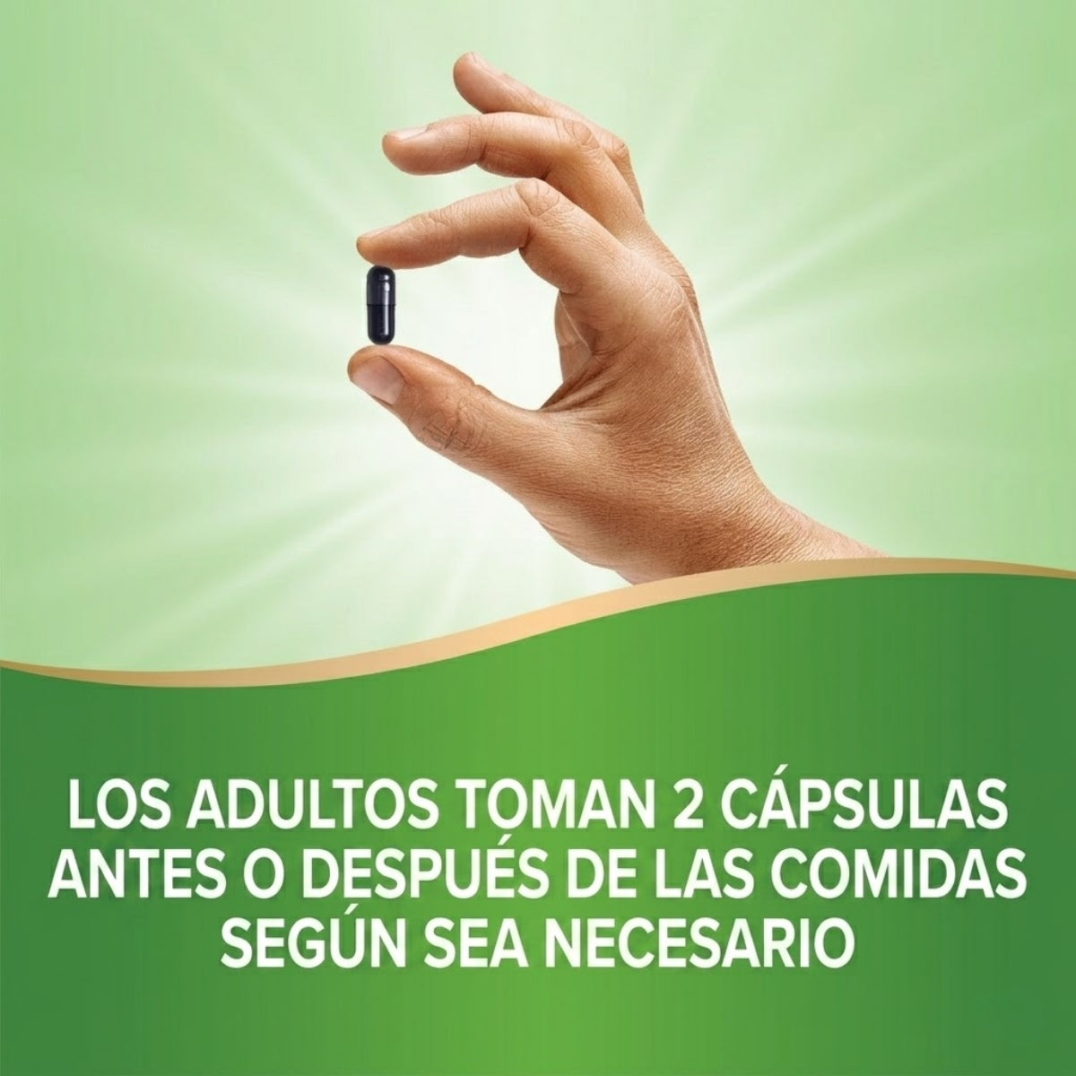 Carbón Vegetal Activado, 560 mg (100 caps), Nature's Way