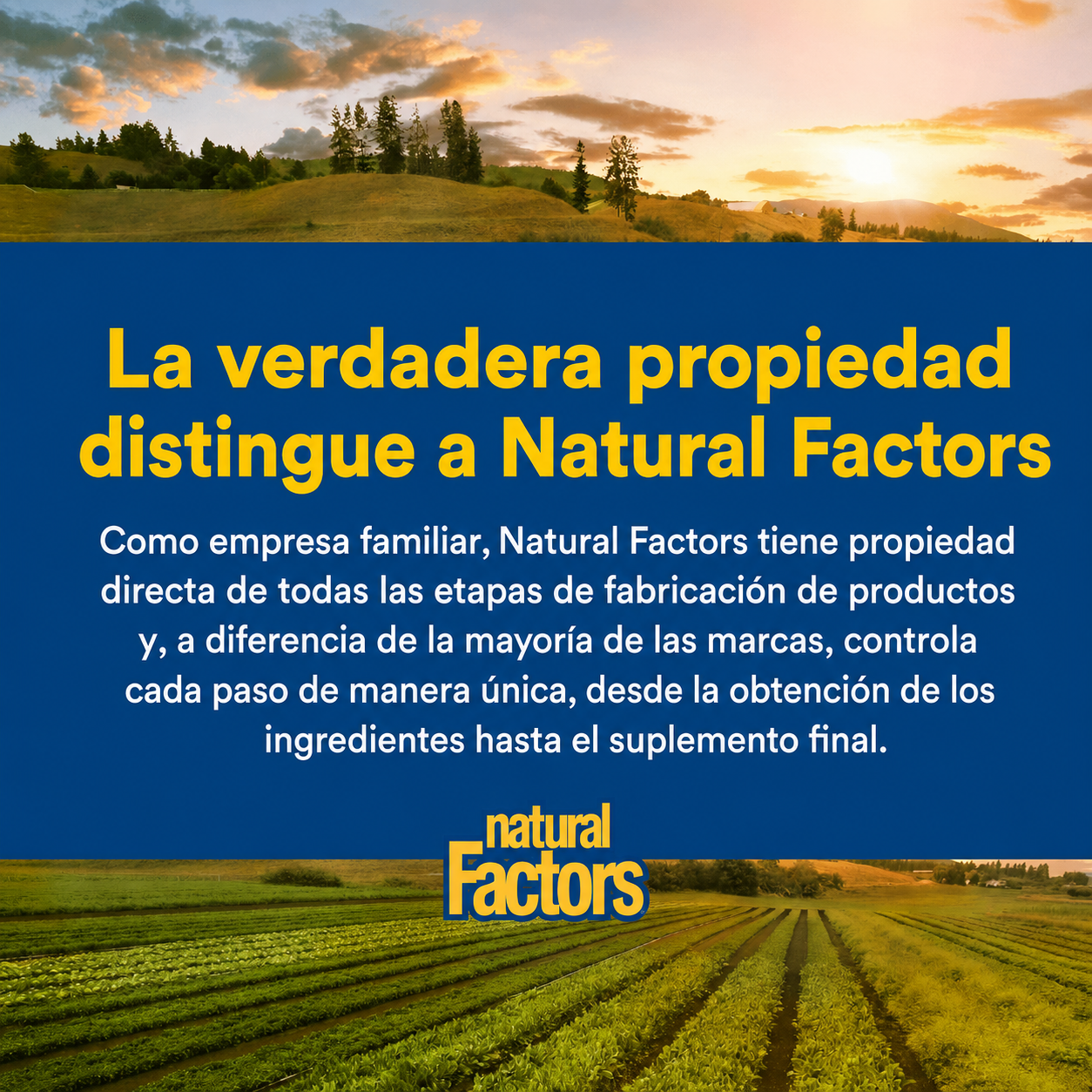 L-Carnitina 500 mg 60 vcap, Natural Factors