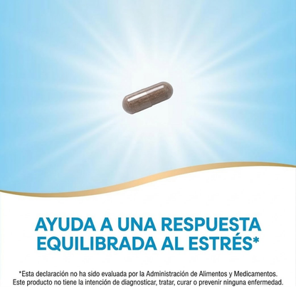 Ashwagandha - Extracto Premium - 500mg - 60 Cápsulas Veganas