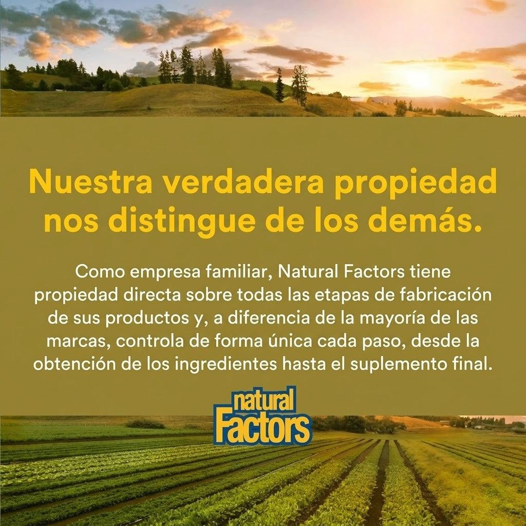 Quercetina LipoMicel Matrix 30 sg, Natural Factors