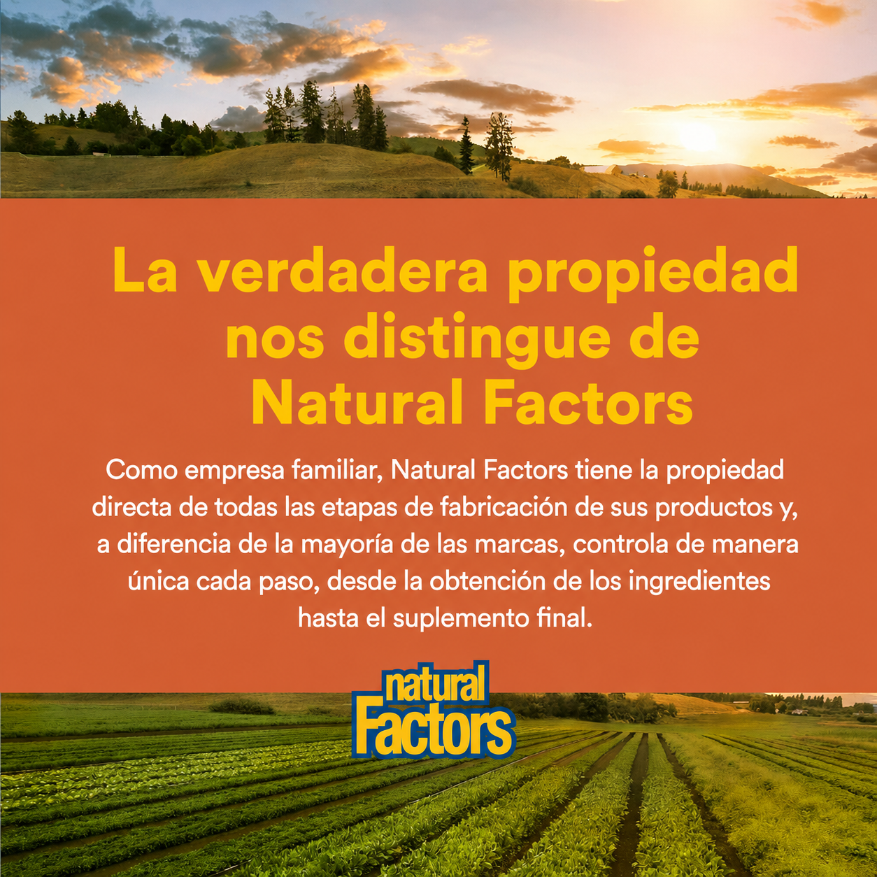 BetaCareAll® 15,000 mcg 90 sg, Natural Factors
