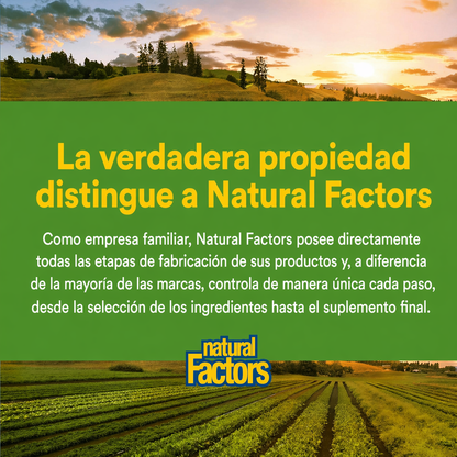 Jengibre Masticable 500 mg 90 tab, Natural Factors