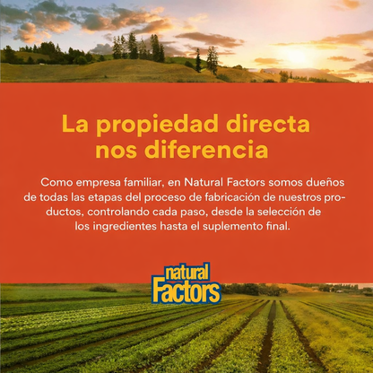 Alta Potencia B Complejo 50 mg 90 cap, Natural Factors