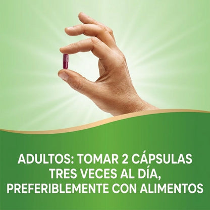 Betabel - Raíz - 1,000mg - 320 Cápsulas Veganas