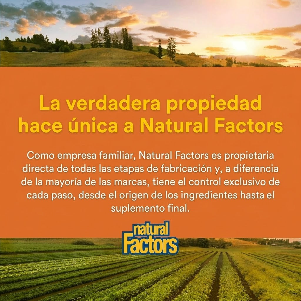 CurcuminRich® Theracurmin® 30 vcap, Natural Factors