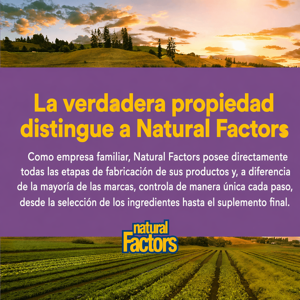 Vitamina C 500 mg Sabor a Fruta Masticable– Mora Azul, Frambuesas & Arándanos 90 tab, Natural Factors