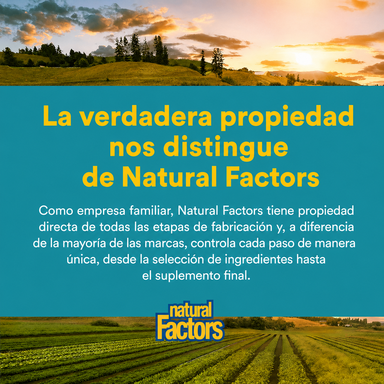 Ácido Alfa-Lipoico 100 mg 60 cap, Natural Factors