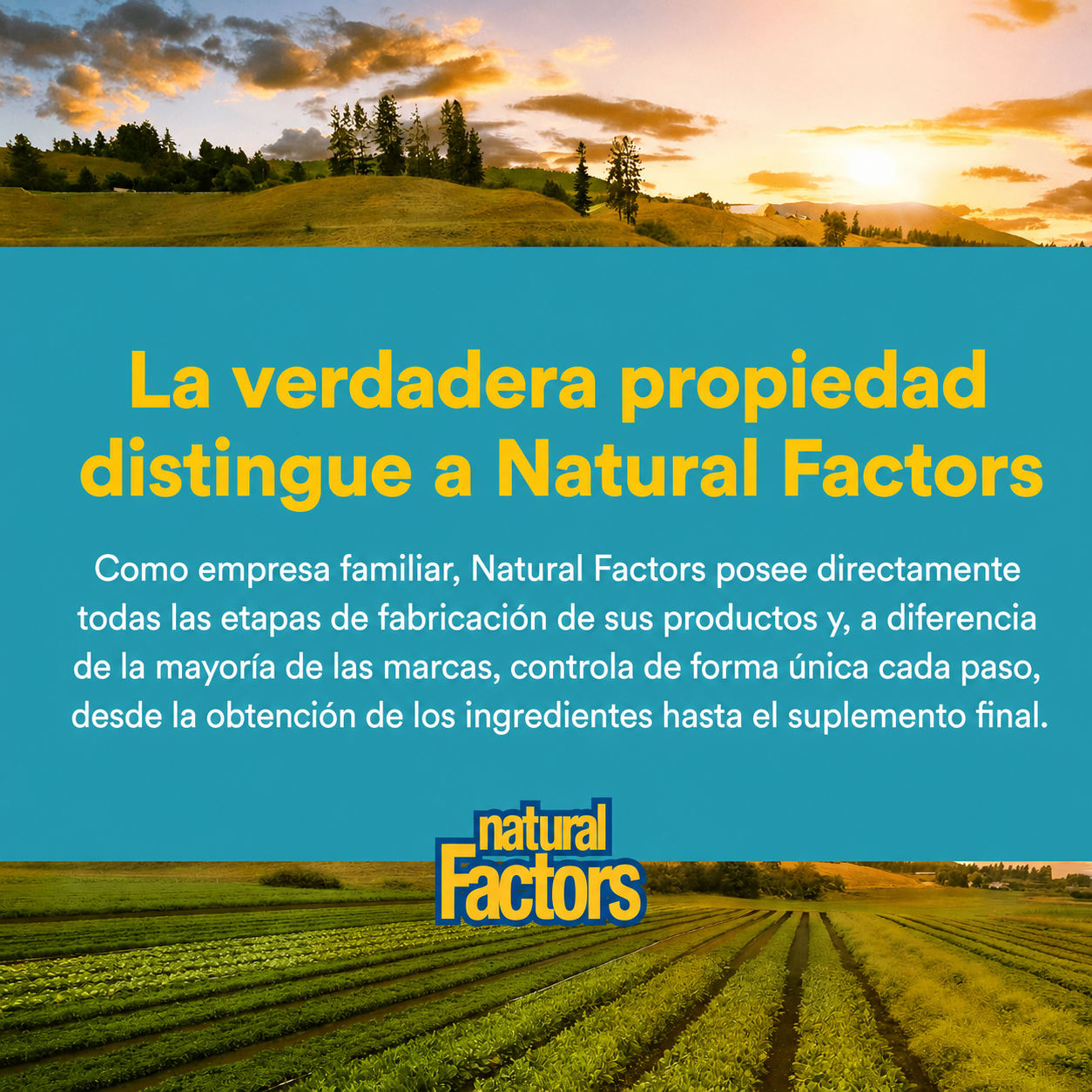 Matriz de Lipomicel de Glutatión 300 mg 90 sg, Natural Factors