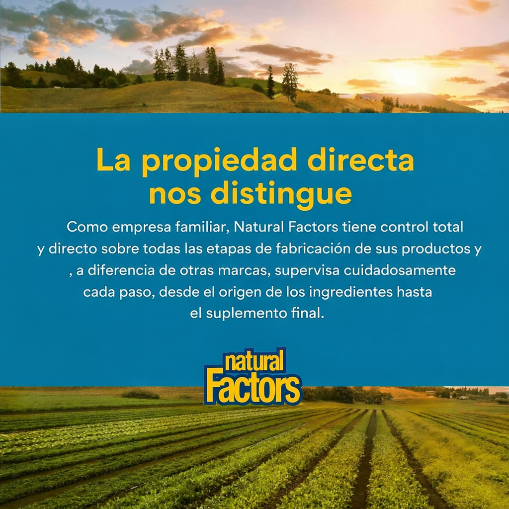 Ultimate Probiotic 12/12 Formula 60 vcap