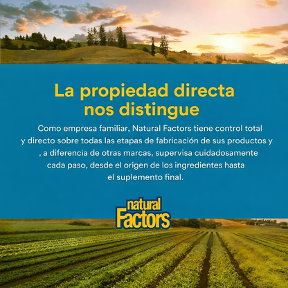 Ultimate Probiotic 12/12 Formula 60 vcap