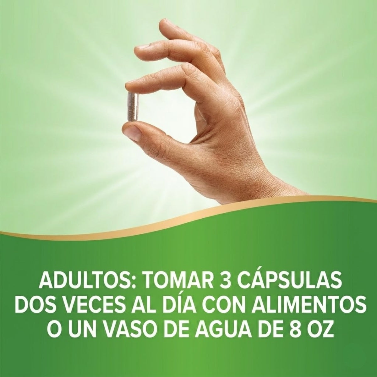 Uva Ursi - Hojas - 1,110mg - 100 Cápsulas Veganas